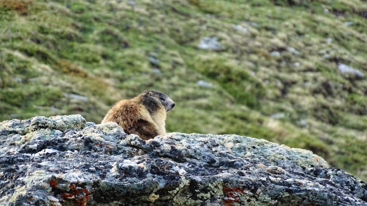Randonnée au fond d'Aussois en Vanoise