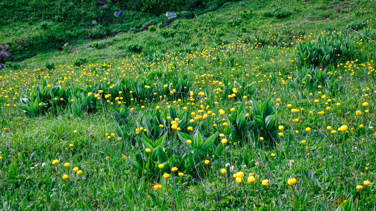 Randonnée au refuge des lacs Merlet en Vanoise